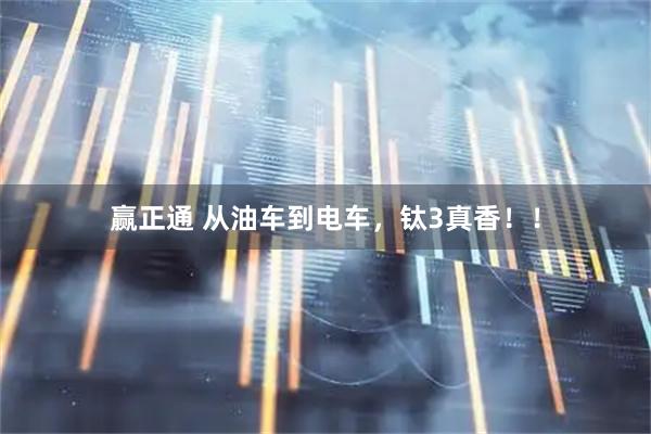 赢正通 从油车到电车，钛3真香！！