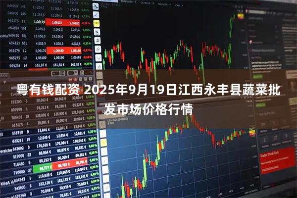 粤有钱配资 2025年9月19日江西永丰县蔬菜批发市场价格行情