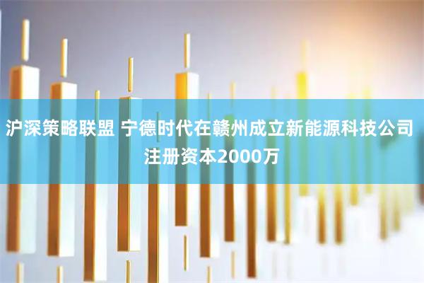 沪深策略联盟 宁德时代在赣州成立新能源科技公司 注册资本2000万