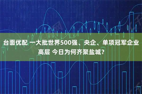 台面优配 一大批世界500强、央企、单项冠军企业高层 今日为何齐聚盐城？