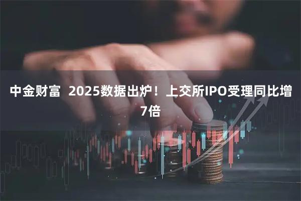 中金财富  2025数据出炉！上交所IPO受理同比增7倍