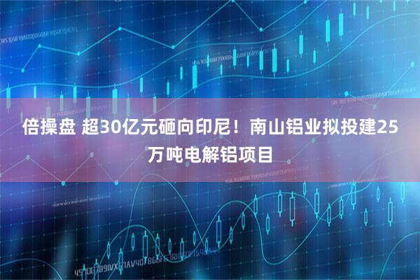 倍操盘 超30亿元砸向印尼！南山铝业拟投建25万吨电解铝项目