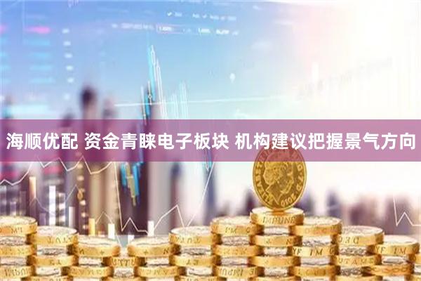海顺优配 资金青睐电子板块 机构建议把握景气方向